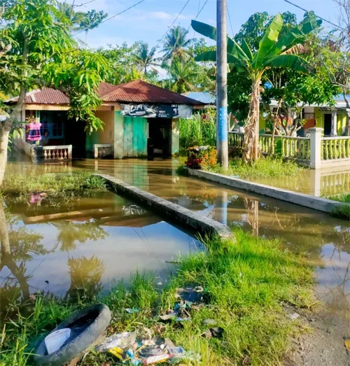 Puluhan Rumah Penduduk Teluk Meku Tergenang Banjir