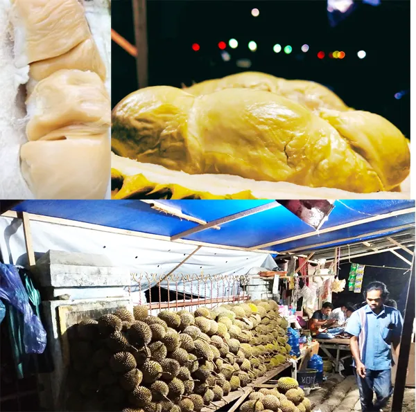 Durian Madina Menggiurkan