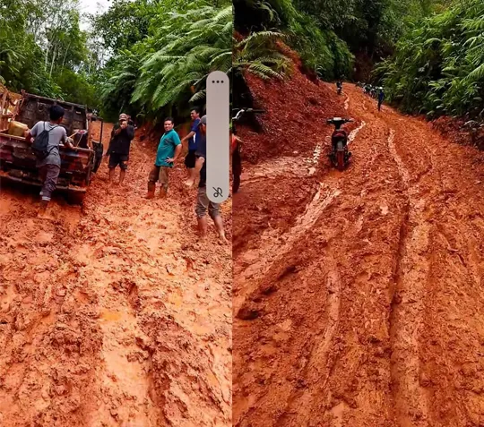 18 'Perkebunan Raksasa'  Dekat Jalan Hancur Lebur