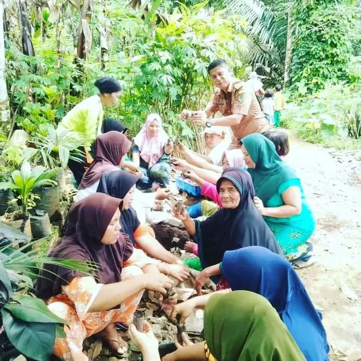 Camat Angkola Barat Tinjau Penanaman Bibit Cabai Di Desa Siuhom