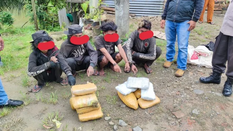 Polres P.Sidempuan Bekuk 4 Orang  Bawa 13 Bal Ganja