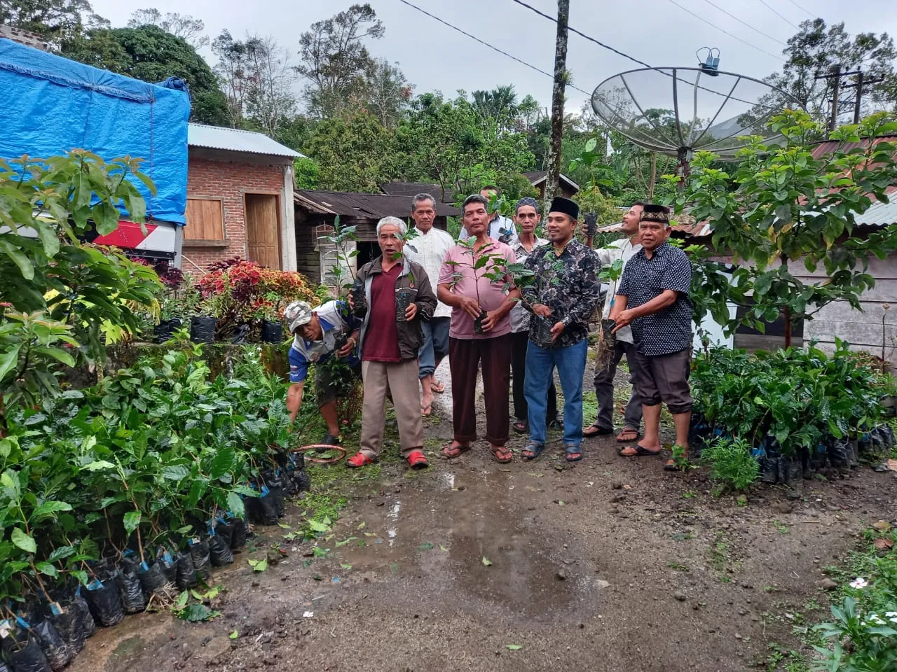 Bupati Tapsel Serahkan 1000 Pokok Bibit Kopi Arabika ke Petani Desa Sitaratoit