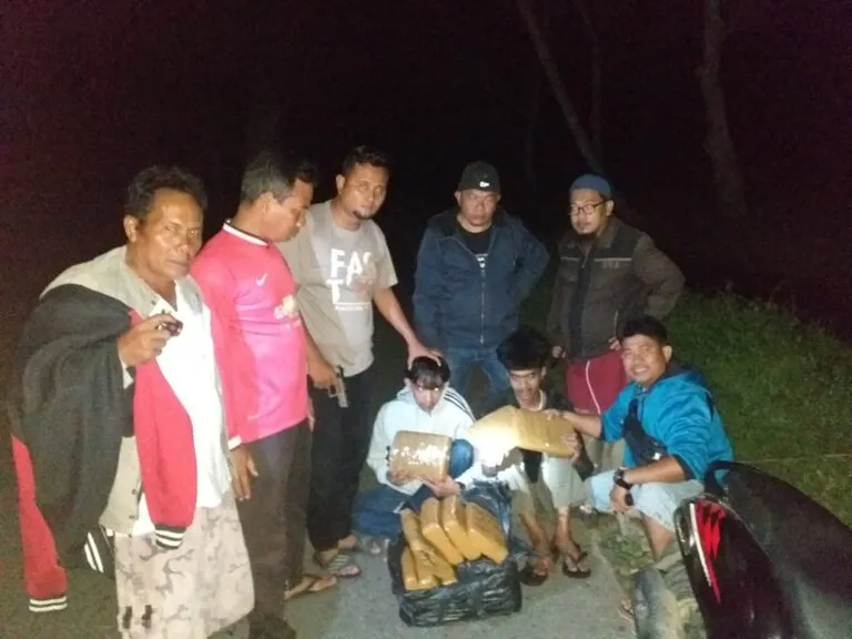 3 Tersangka Ditangkap,  23 Kg Ganja Diamankan