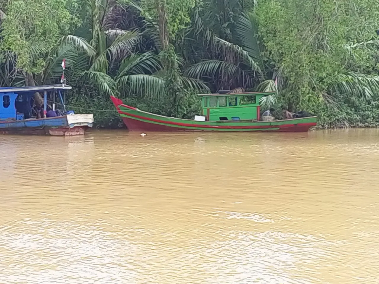 Sungai Batangnatal Hancur,  Nelayan Makin Sengsara