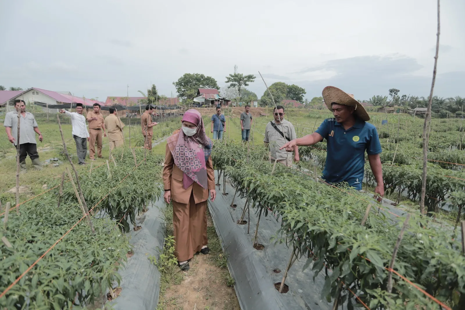 Pemkab Aceh Tamiang Galakkan Tanam Pangan Cepat Panen