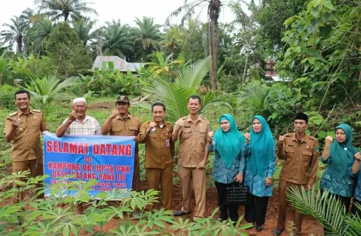 Desa Batang Pane lll Layak di Contoh.