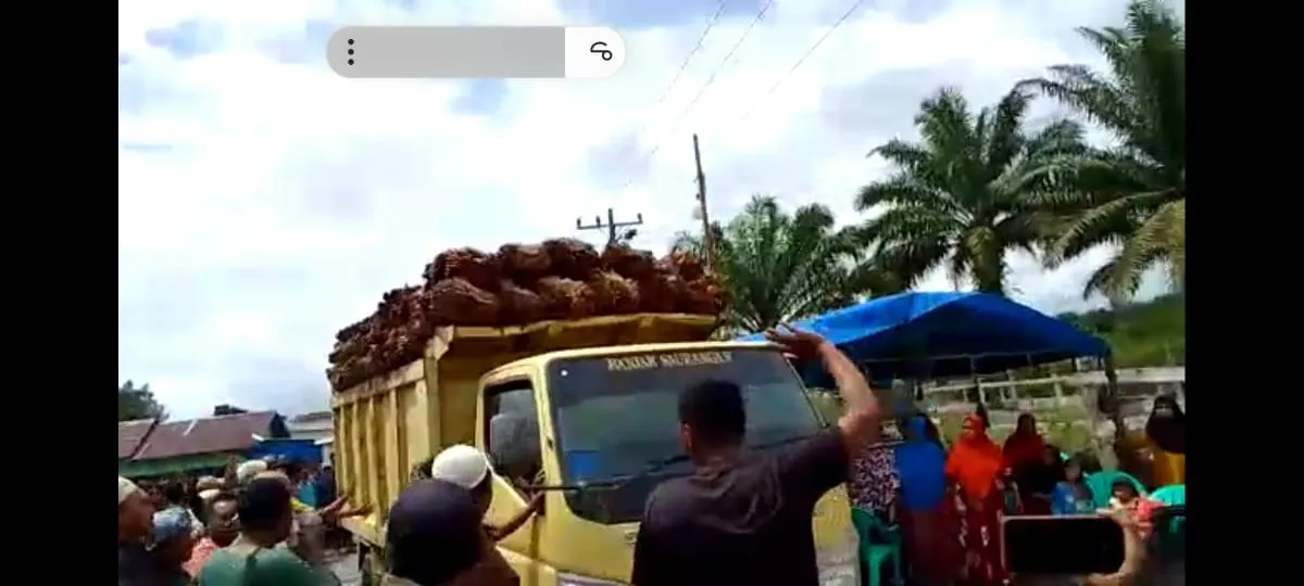 Warga Singkuang 1 Memaksa Putar  3 Truk TBS PT RPR