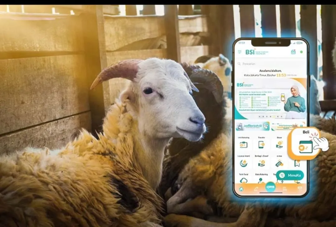 Layani Kurban Online, BSI Maslahat Siap Distribusikan Daging untuk Umat