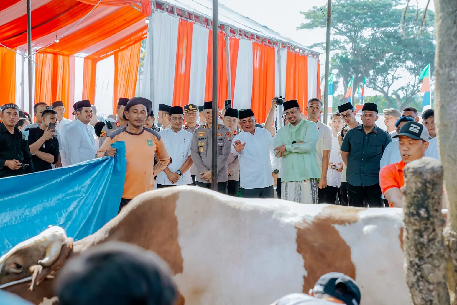 Pemko Medan Sembelih 104 Hewan Kurban
