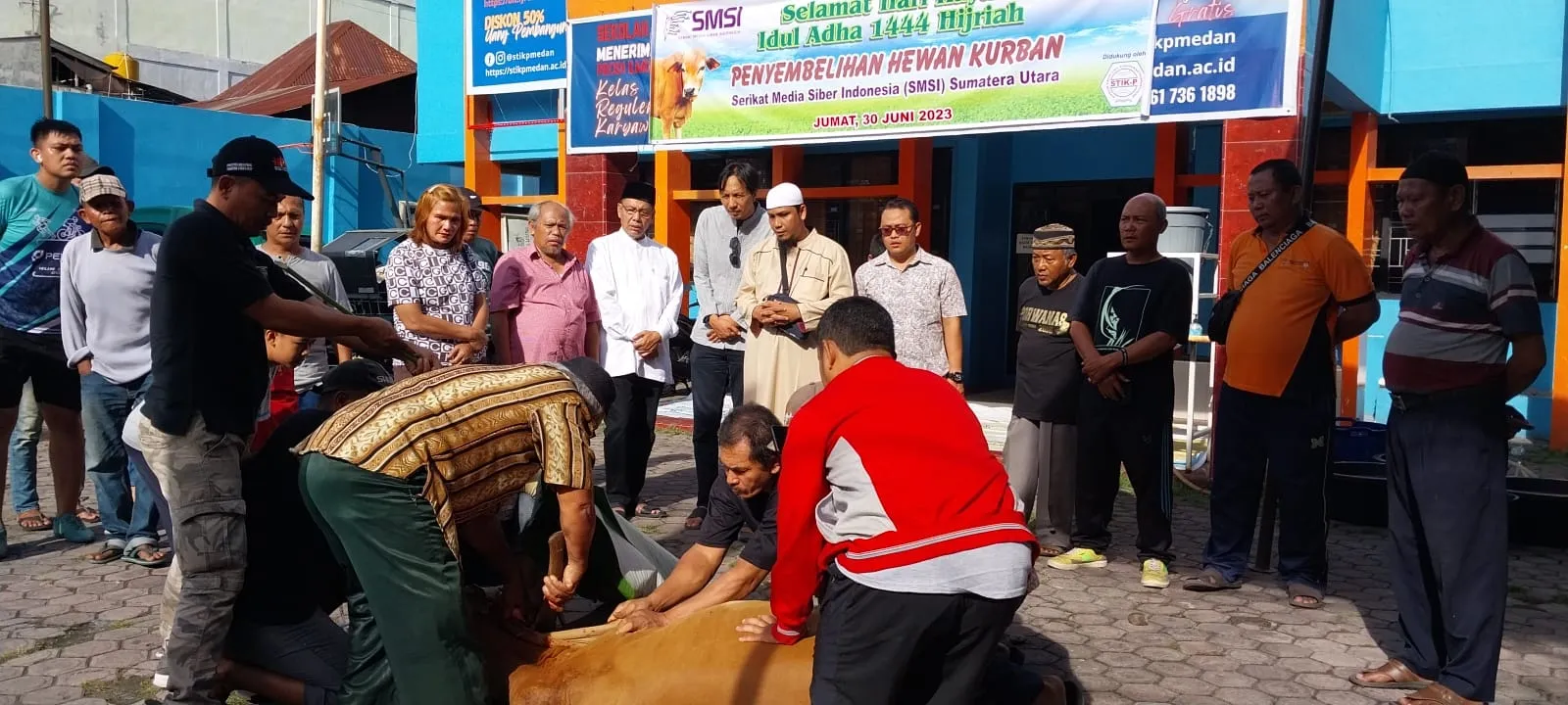 SMSI Sumut Sembelih Hewan Kurban