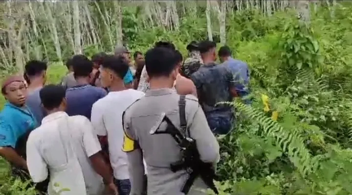 Warga Kotanopan Kepergok 2 Harimau, Besar Dan Kecil