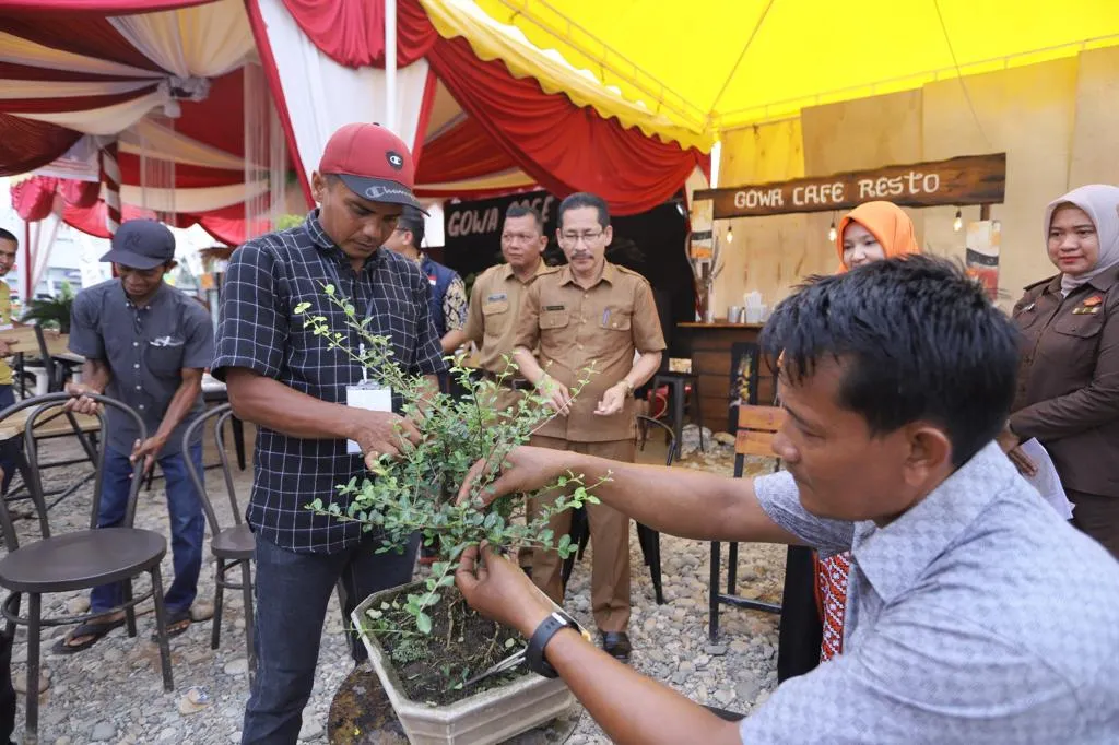 Tanaman Bonsai Miliki Nilai Estetika Serta Nilai Jual Yang Tinggi