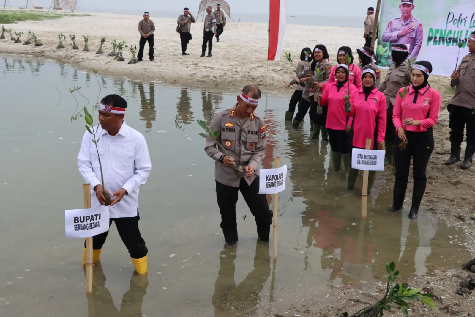 Kapolres dan Bupati Sergai Tanam Mangrove Serentak di Desa Nagalawan Perbaungan