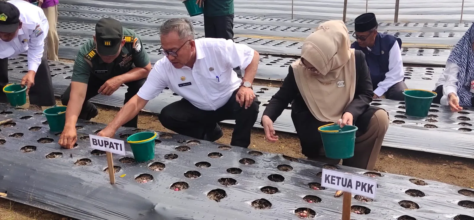 Aceh Singkil Launching Gerakan Menanam Bawang Merah