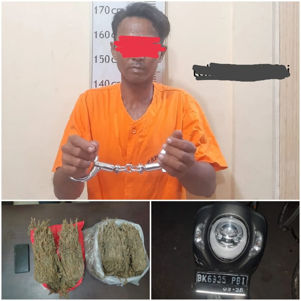 Menyaru Sebagai Pembeli, Polisi Langkat Amankan Pemilik 2 Kg Ganja