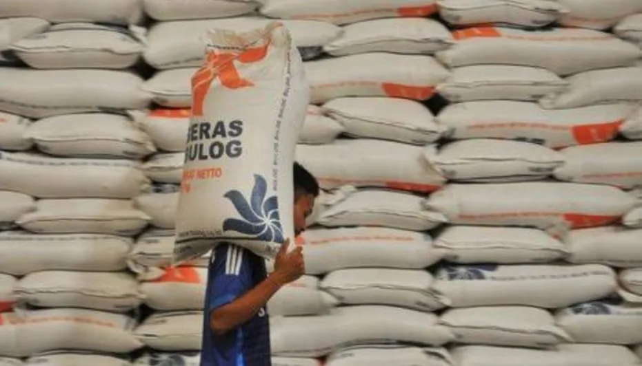 Harga Gabah Kering Di Tingkat Petani Naik 60 Persen
