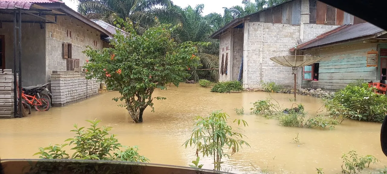 7 Kecamatan Banjir di Madina, Aktivitas Warga "Lumpuh"