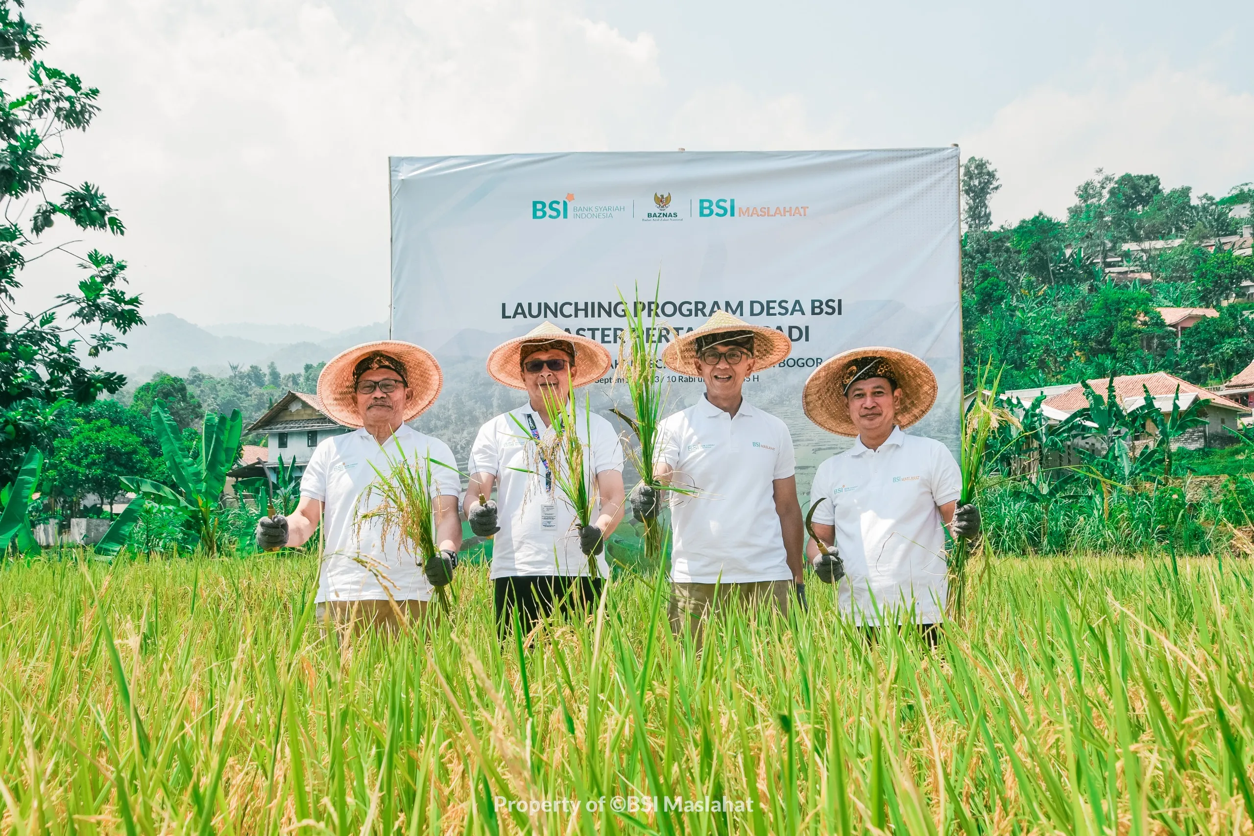 BSI Maslahat dan BSI Launching Klaster Padi di Bogor