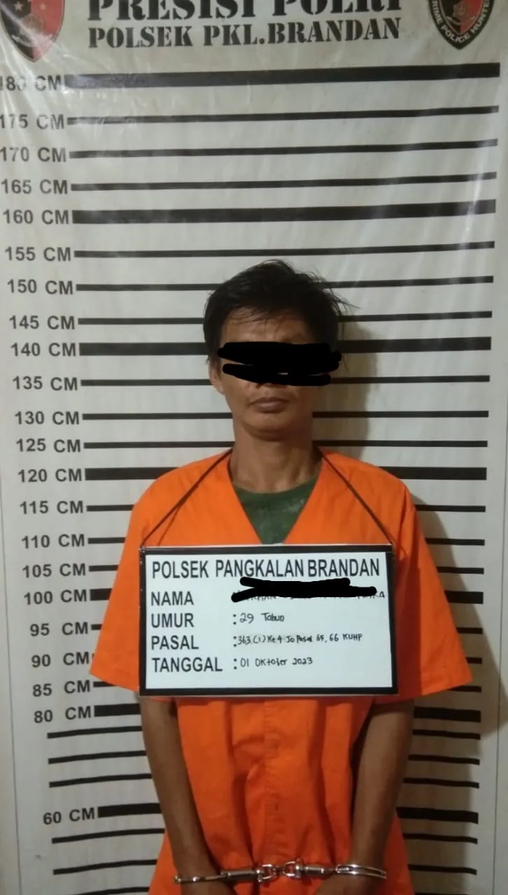 Polsek P. Brandan Tangkap Pencuri Ratusan Bebek