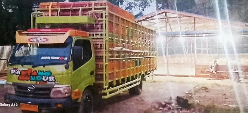 Warga Protes Adanya Kandang Penampungan Ayam Broiler Di Desa Faekhu