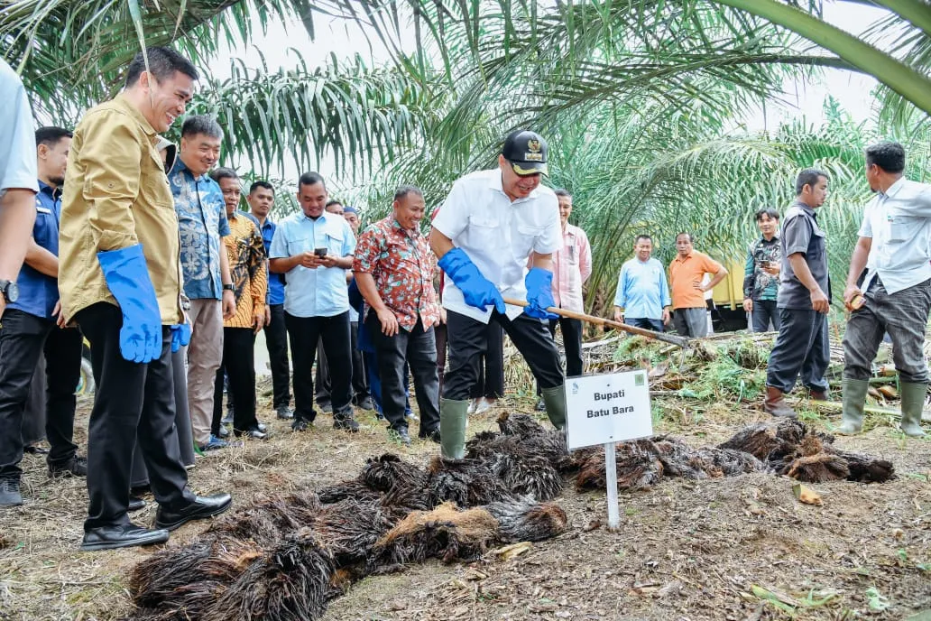 Limbah Sawit Alternatif Atasi Kelangkaan Pupuk
