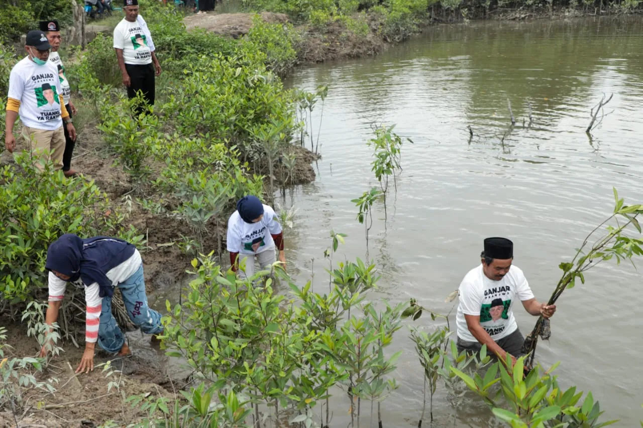 Ustaz Sahabat Ganjar Edukasi Masyarakat Pentingnya Jaga Kelestarian Alam Dengan Tanaman Mangrove