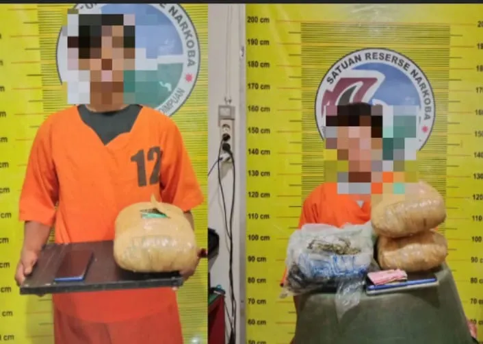 Diduga Jual Ganja, 2 Warga Tapsel Ditangkap