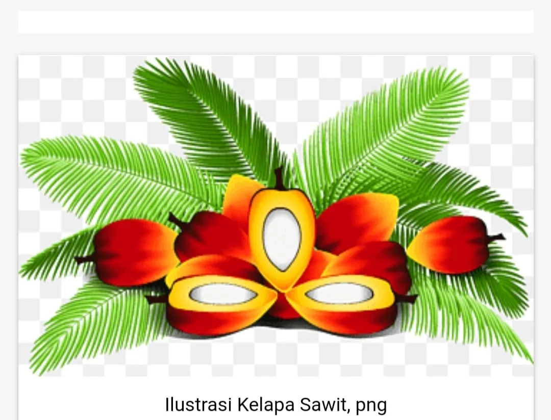 Supplier Berondolan Sawit Dipanggil Sebagai Saksi