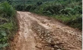 Jalan Penderitaan Sengsarakan Warga Linggabayu