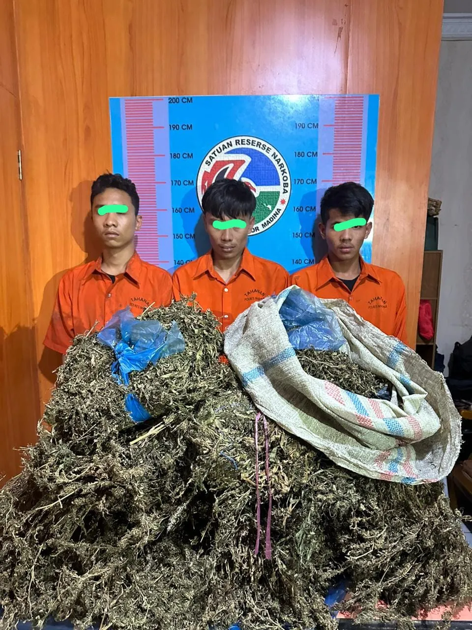 Kejar-kejaran, Polisi Tangkap 3 Warga  Bawa Ganja di Panyabungan Timur
