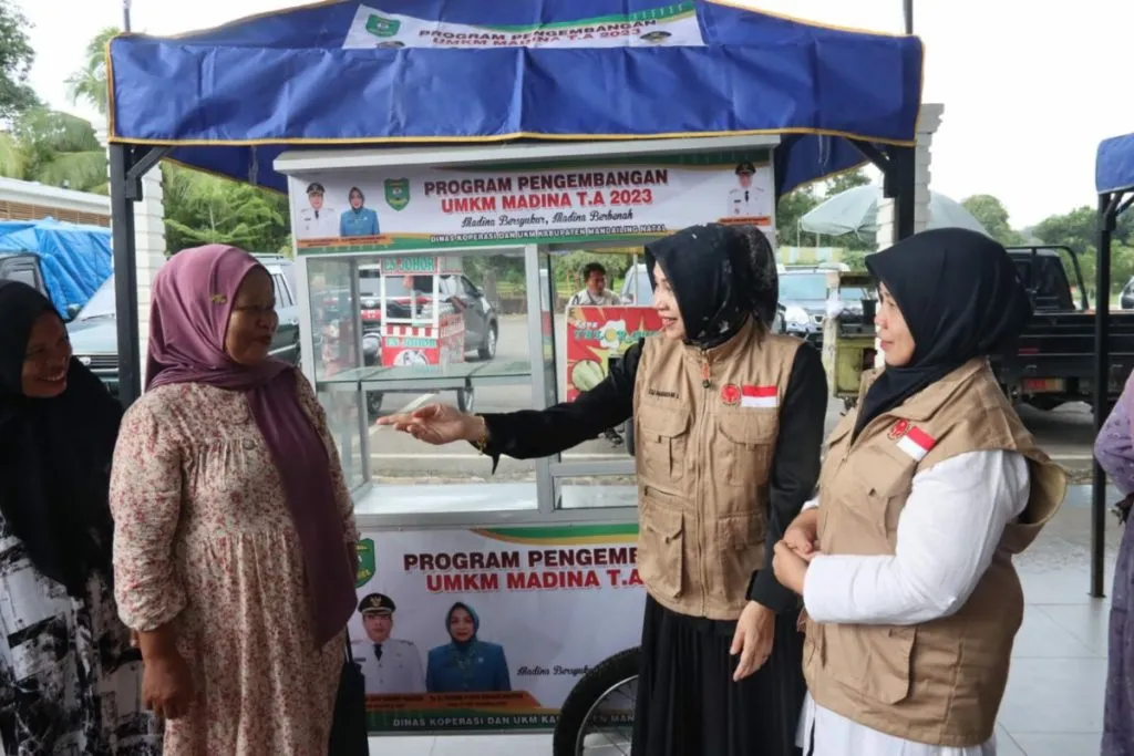 Elli Mahrani Serahkan Bantuan kepada Pelaku UMKM Madina