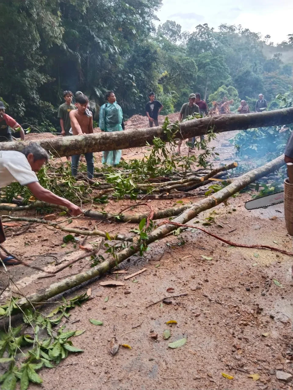 Tanah Longsor dan Pohon Tumbang di Tambangan, Akses Jalan Tertutup
