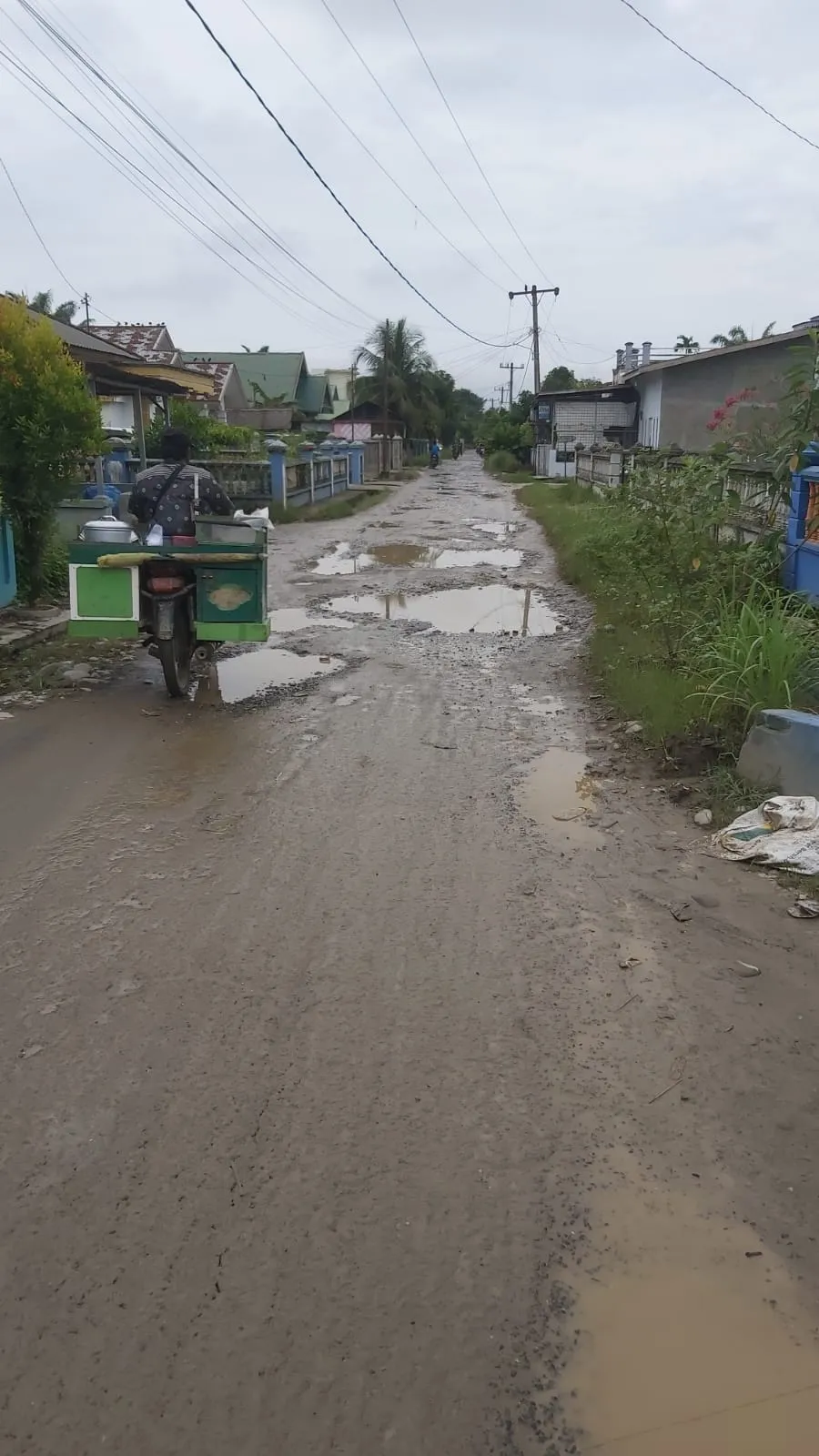 Jalan Desa Pelawi Selatan Kupak Kapik