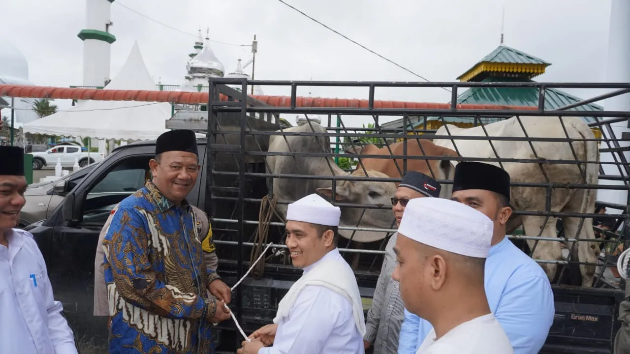 Haul ke-100 Tuan Guru Babussalam, Plt Bupati Langkat Serahkan Tiga Ekor Sapi