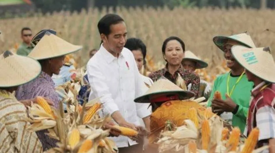 Jokowi Siapkan 1,7 Juta Ton Pupuk  Subsidi
