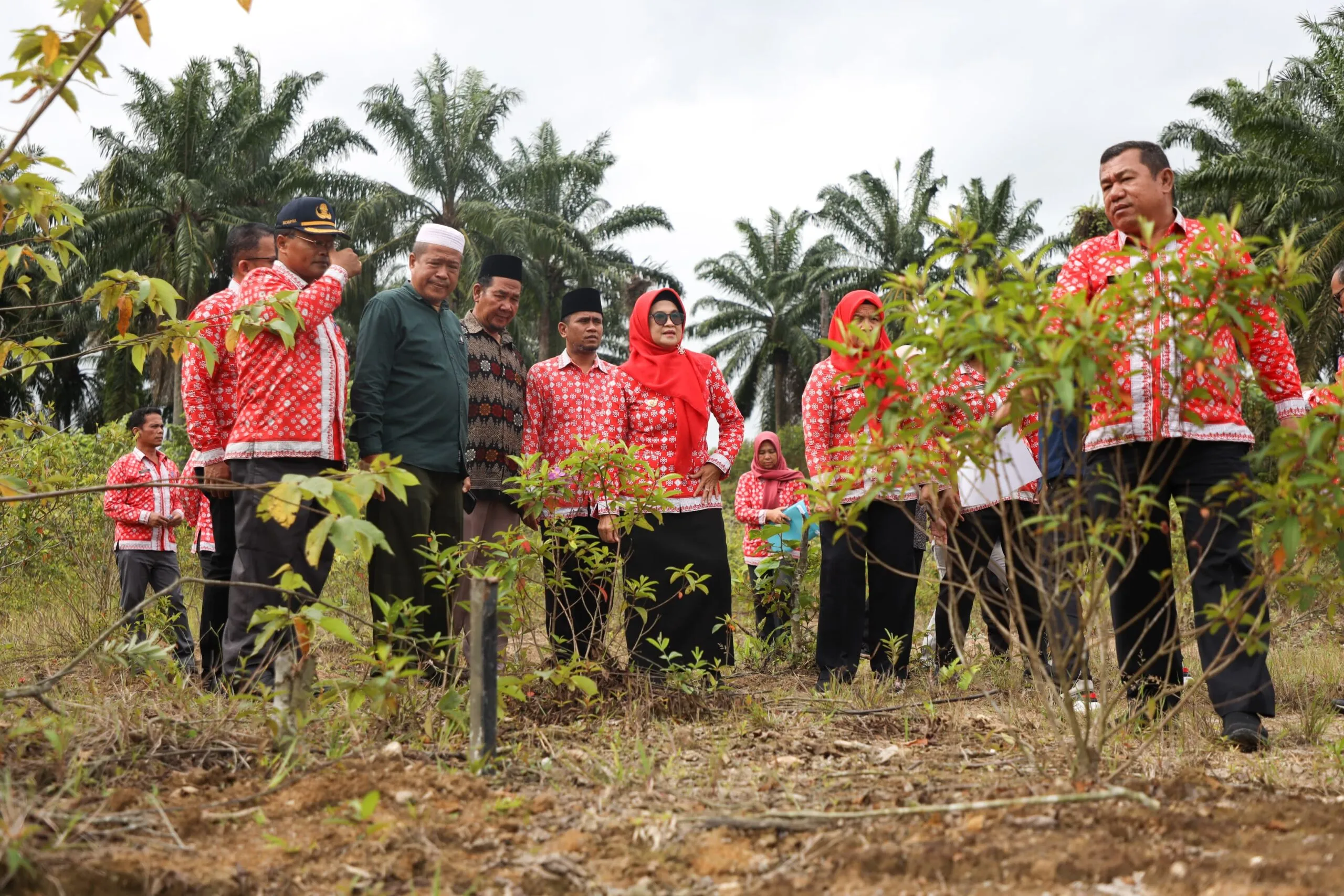 Wali Kota Siantar Tinjau Lahan Pemakaman  4,1 Hektar