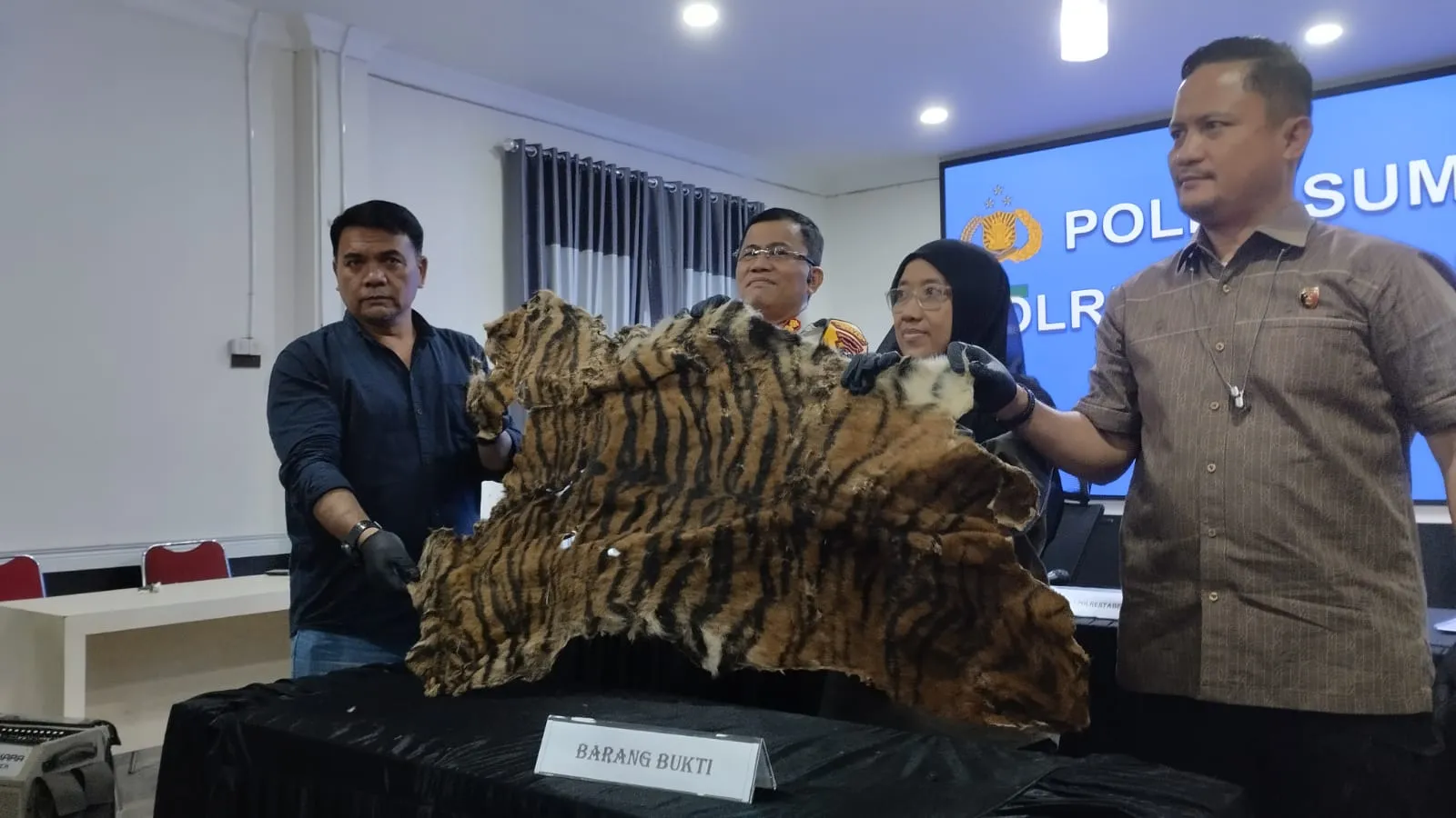 Jual Kulit Harimau Kepada Polisi, Dua Warga Karo Diringkus