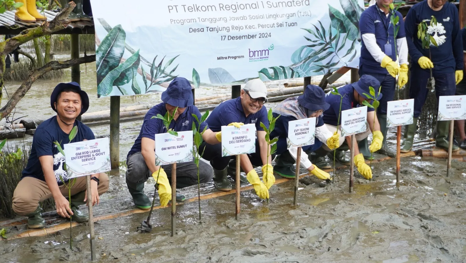 Telkom Regional 1 Tanam 5.000 Bibit Mangrove Di Desa Tanjung Rejo, Deliserdang