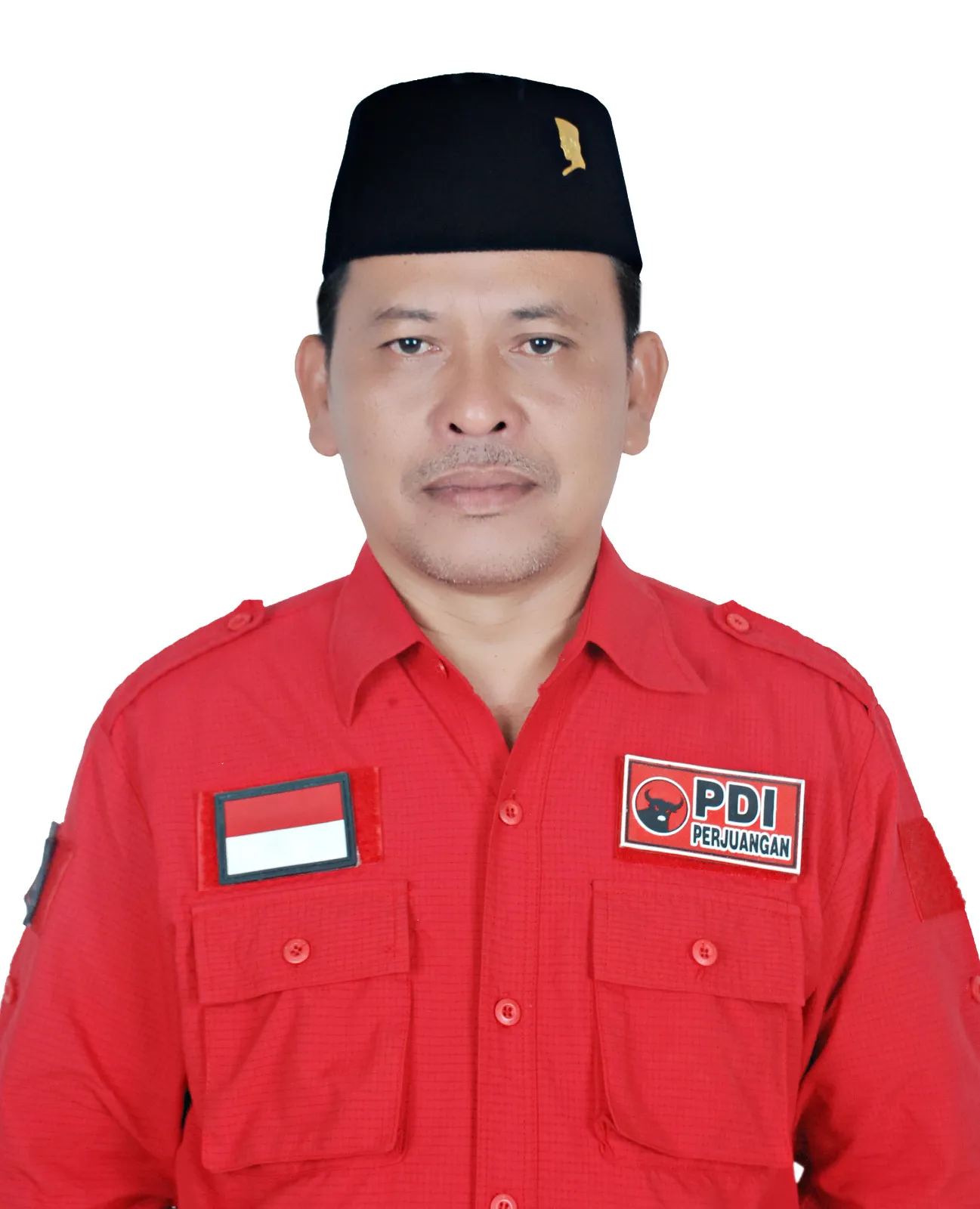 Sabayuti Gulo  Ucapkan Selamat HUT Ke 52 PDI Perjuangan