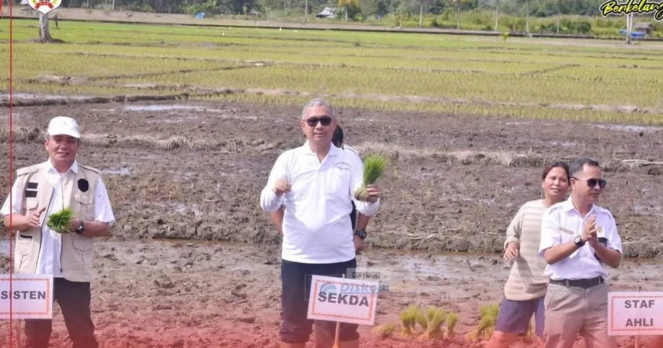 Nias Masuk Gerakan Tanam Padi Serentak Secara Nasional