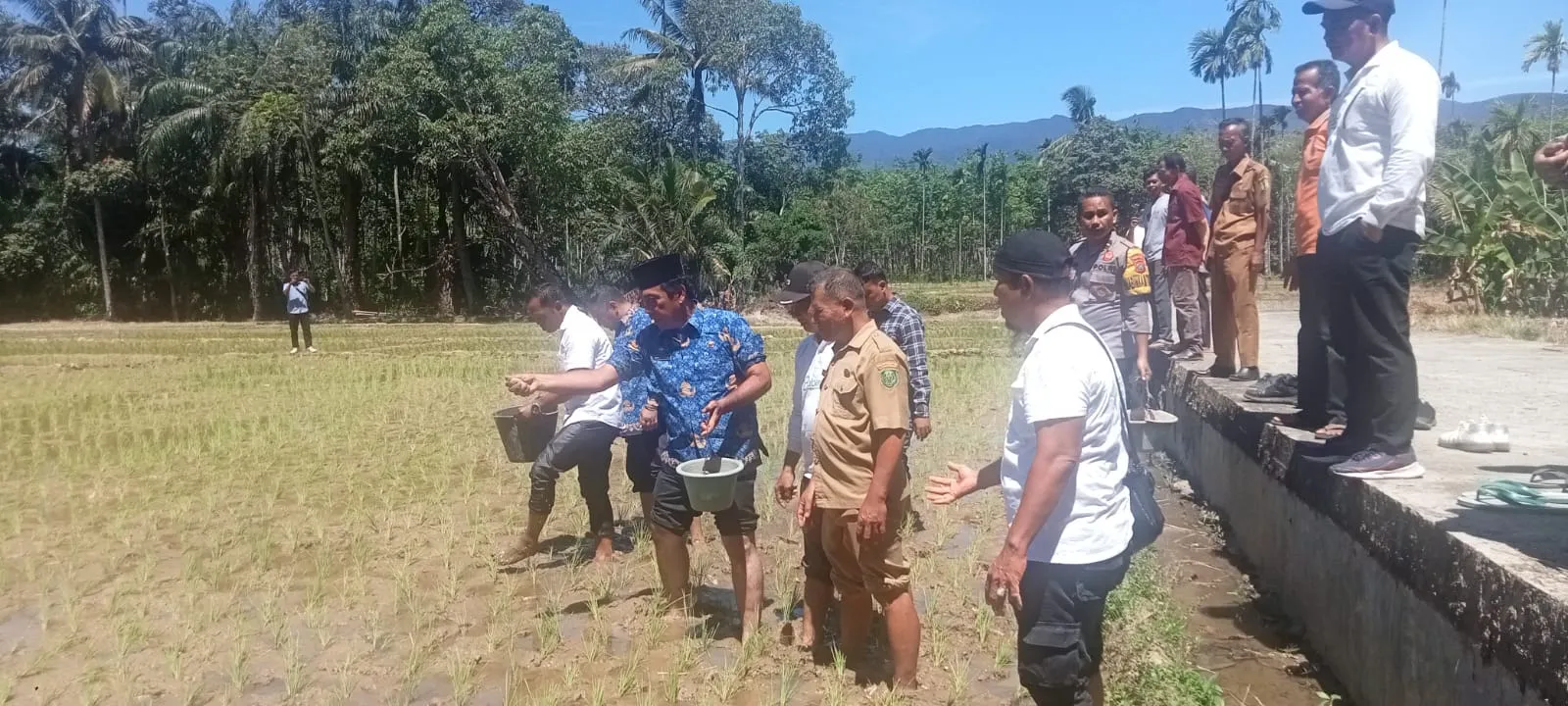 GT Hamonangan Daulay Pastikan Harga Pupuk Subsidi Sesuai HET Di Palas