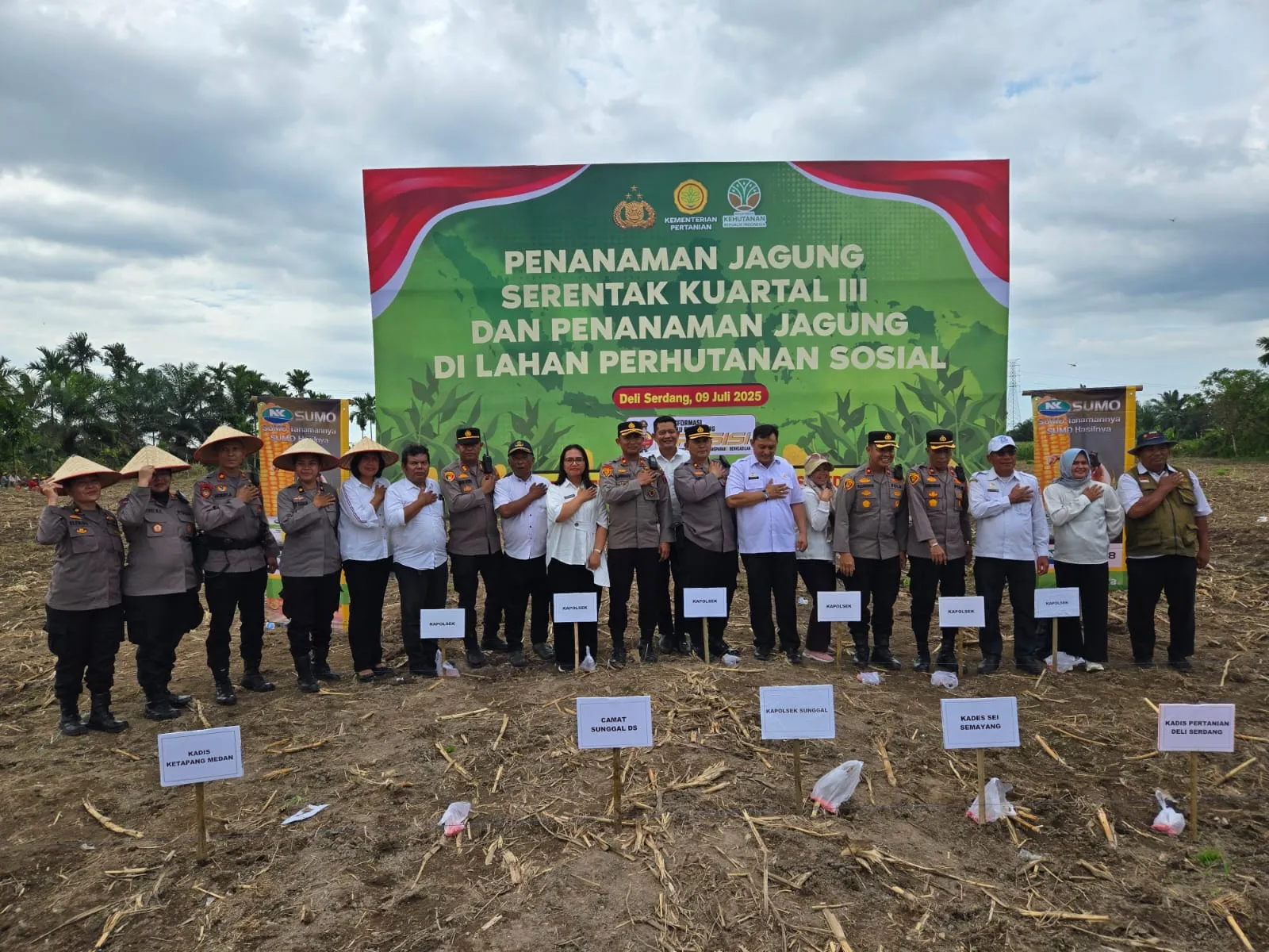 Dukung ketahanan Pangan, Polrestabes Medan Tanam Jagung Kuartal III di Sunggal