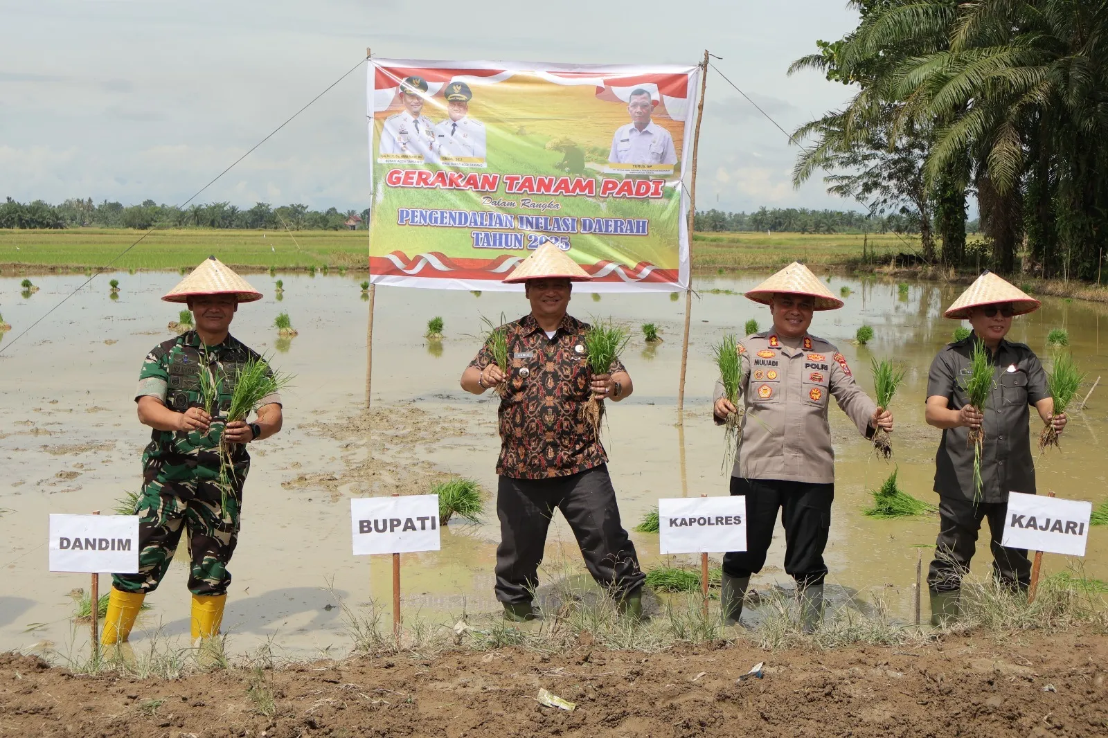 Armia Pahmi:  Penanaman Padi Dan Jagung Upaya Jaga Stabilitas Harga Pangan