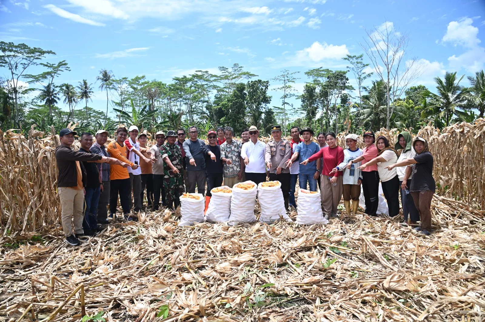 Bupati Nias Hadiri Panen Jagung Perdana di Lahan BUMDes Desa Umbu