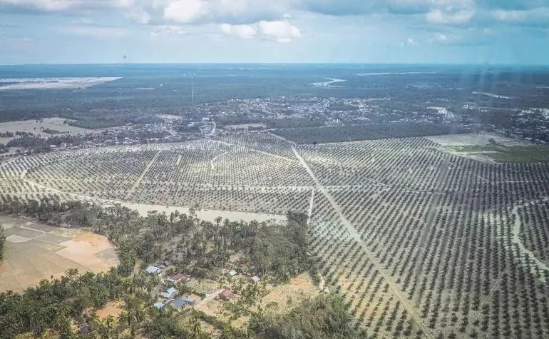 Banjir Sumatera Dampak Akumulasi Tata Kelola Lingkungan