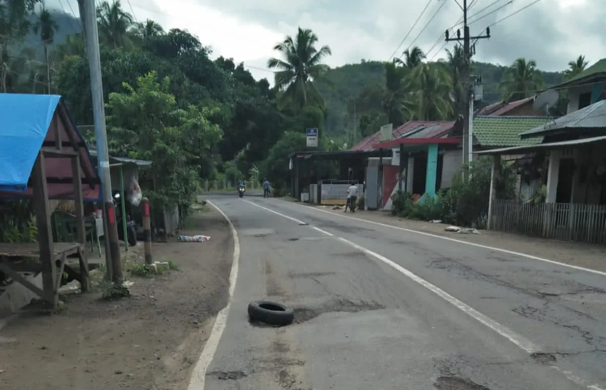 Melintas Di Jalan Sihepeng-Panyabungan Bertaruh Nyawa
