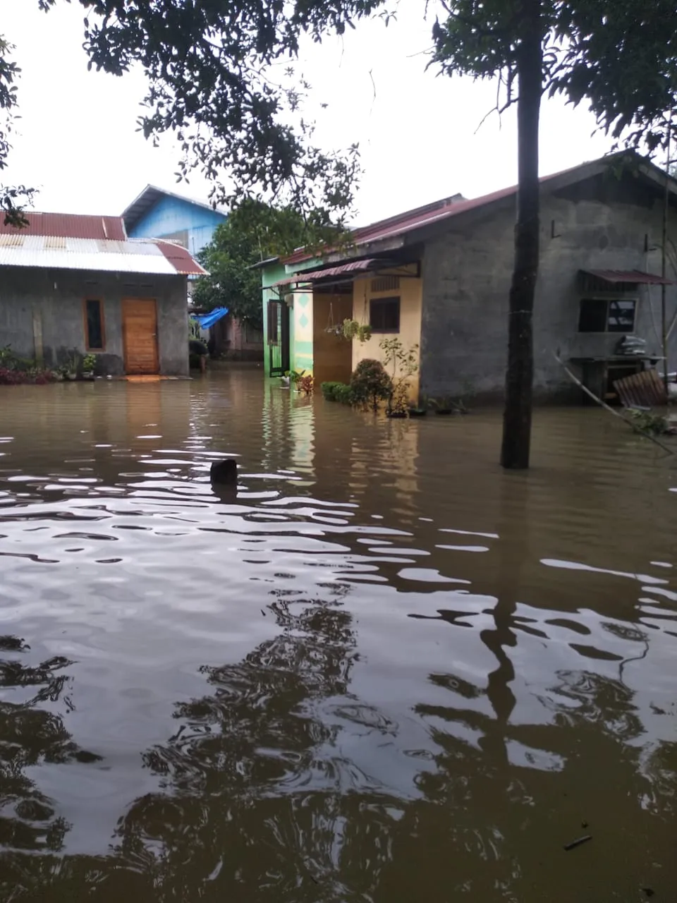 Banjir Rendam Ratusan Rumah Di Desa Paya Geli
