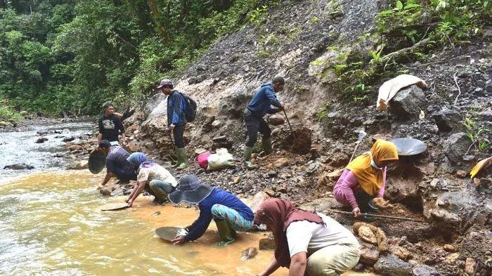4 Meninggal Pencari Emas