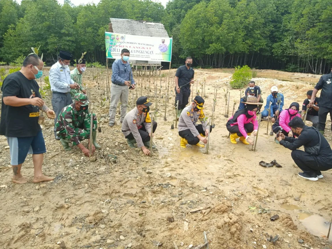 Kapolres Langkat Dan Forkopincam Brandan Barat Tanam Pohon Mangrove Apikulata