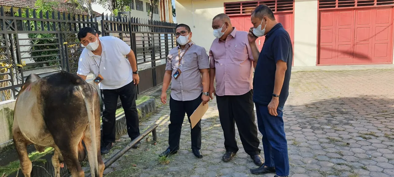 PWI Sumut Sembelih 5 Lembu, 4 Kambing